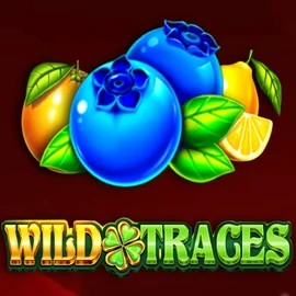 Play the Wild Traces slot by Amusnet Interactive on Casoola Casino